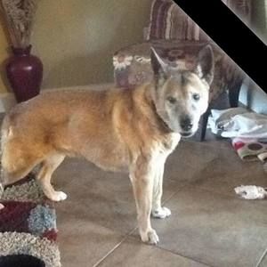 Meet your Posher, Jodi